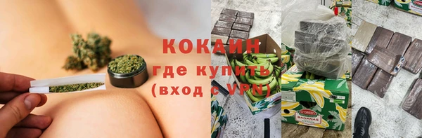 индика Медногорск