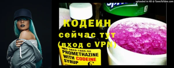индика Медногорск