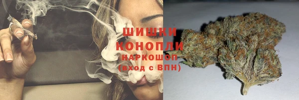 PSILOCYBIN Медвежьегорск