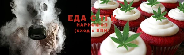 индика Медногорск