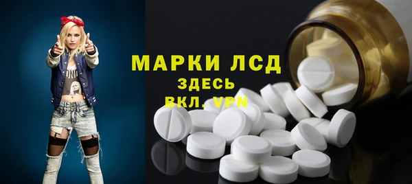 индика Медногорск