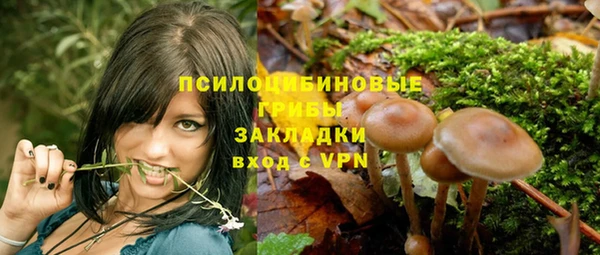 прущая мука Мегион