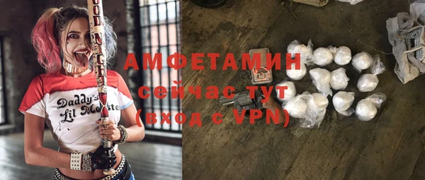индика Медногорск