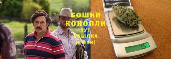 PSILOCYBIN Медвежьегорск