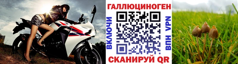 ОМГ ОМГ рабочий сайт  Сыктывкар  Псилоцибиновые грибы Psilocybine cubensis 