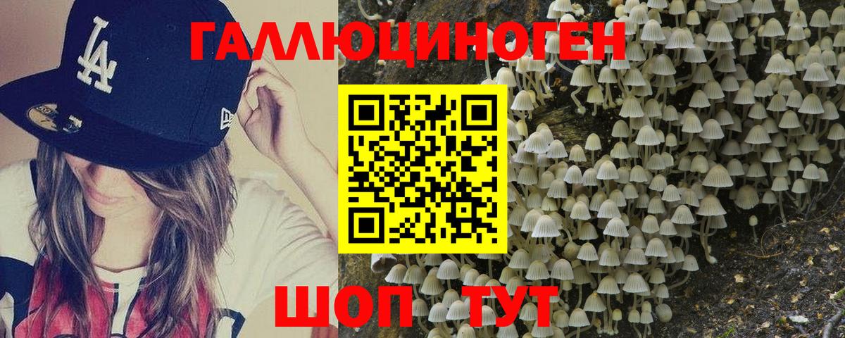 Галлюциногенные грибы GOLDEN TEACHER Сыктывкар
