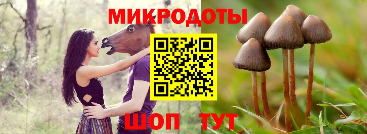 Галлюциногенные грибы GOLDEN TEACHER  Псилоцибиновые грибы MAGIC MUSHROOMS  Вход с VPN  Сыктывкар 